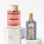 magnolia floral coconut perfume inspired by gorgeous magnolia scentology